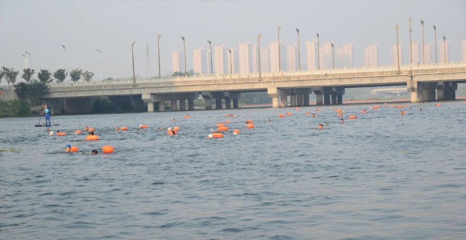 市体育总会, 员泳友的积 市体育总会, 员泳友的积